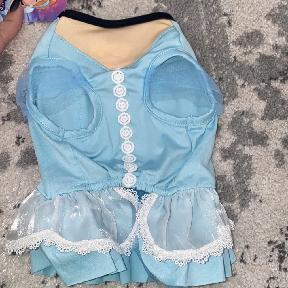 Disney brand new
